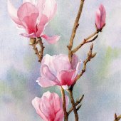 Ukázka pokročilejšího akvarelu I.