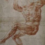 Studie mužského těla