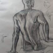 Studie zad