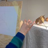 odměřování při studii